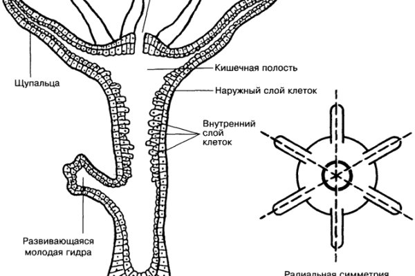 Мега вход зеркало