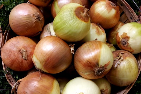 Mega market onion